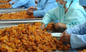 Кыргызстанским производителям сухофруктов помогут выйти на рынки Кореи, Европы и США