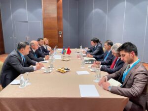 Azərbaycan-Türkiyə strateji enerji tərəfdaşlığının yeni imkanları dəyərləndirilib